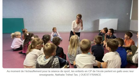 Dol de Bretagne (35) - Ecole Notre Dame- Du sport en gallo ? 